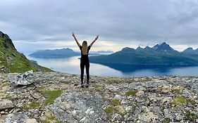 Artic Dream